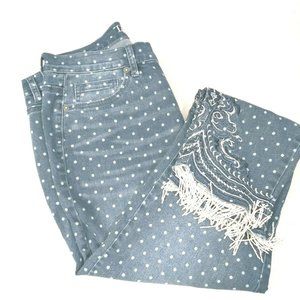 DG2 by Diane Gilman Classic Stretch  Embroidered Jean with Beaded Fringe Size 12